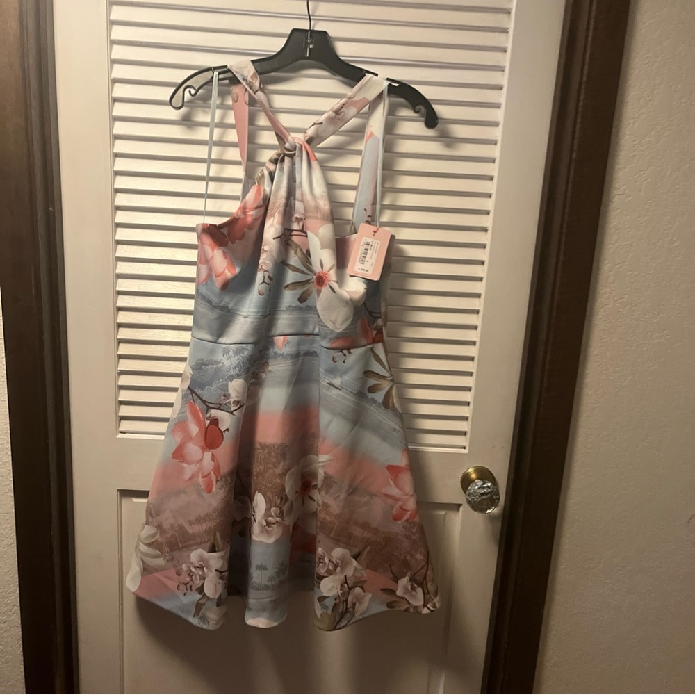 Ted Baker Pink and Blue Dress